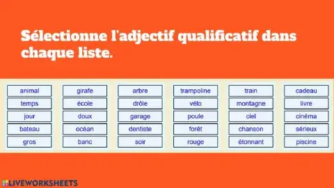 Adjectifs et vocabulaire
