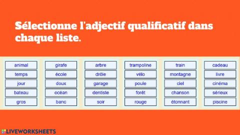 Adjectifs et vocabulaire