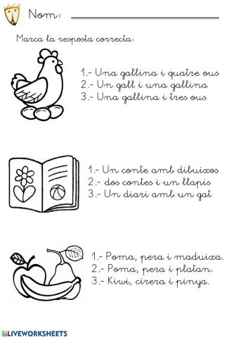 Comprensió lectora 6