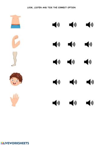 Choose the correct option