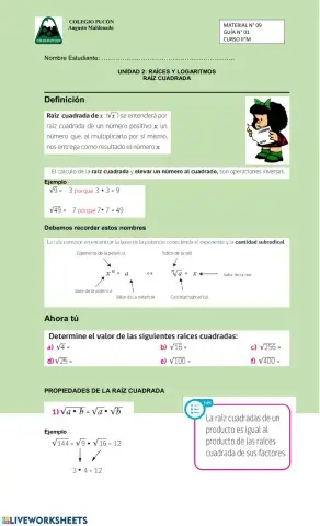 Raíz Cuadrada
