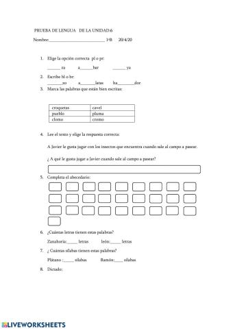 Prueba de lengua unnidad:6