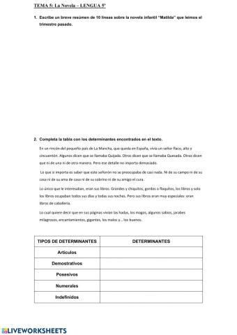 Repaso tema 5 la novela