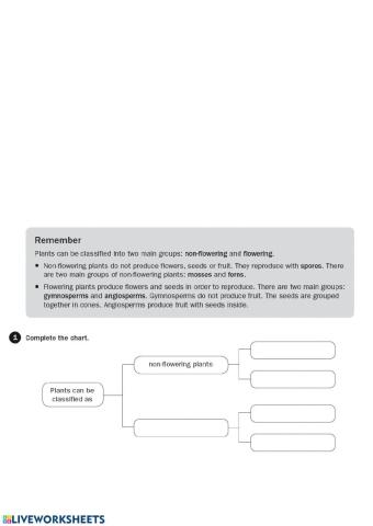 Classification of plants