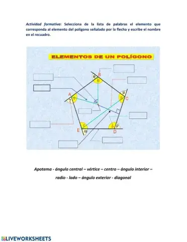 Elementos de un polígono