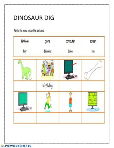 Dinosaur dig