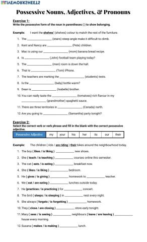 Possessive Nouns, Adjectives & Pronouns