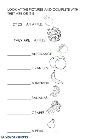 Singular and Plural Nouns