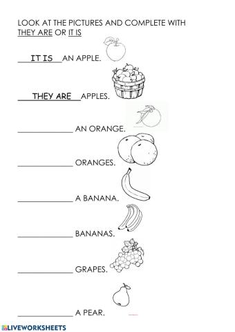 Singular and Plural Nouns