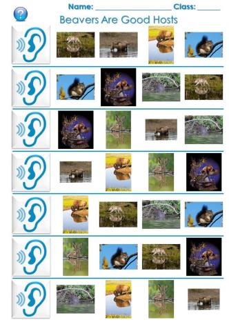 Beavers Are Good Hosts - Listening