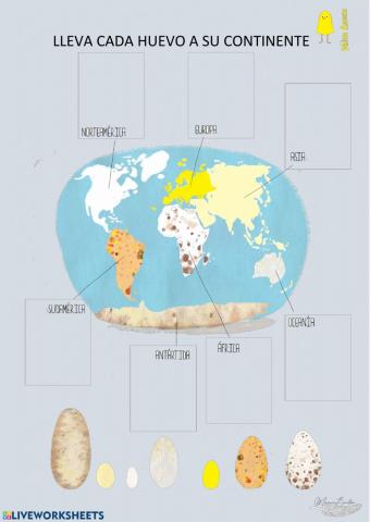 Cada huevo con su continente