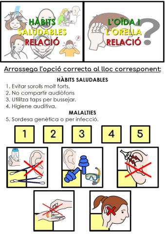 Hàbits saludables i malalties de l'oïda