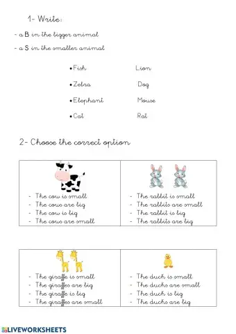 Big-Small and numbers