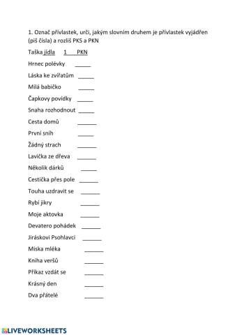 Přívlastky - shodný, neshodný 2