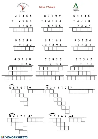 Cálculo 2, 5º primaria.