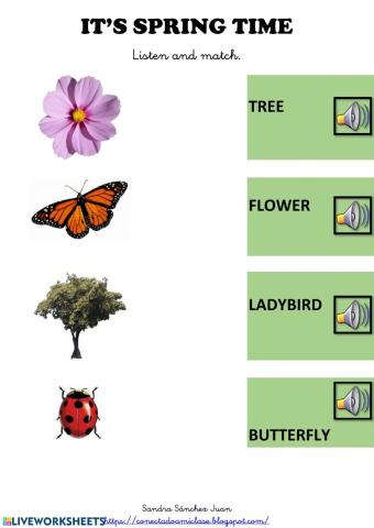 Spring 2º infantil