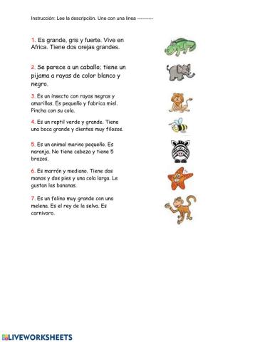 Animal Riddles 