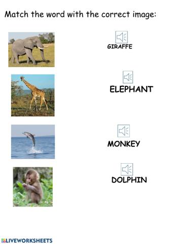 Match the animals with their names