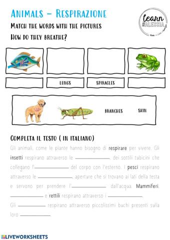 Animali - Respirazione