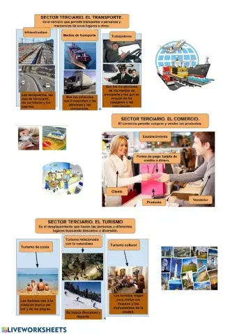 FICHA EXPLICATIVA transporte, comercio y turismo