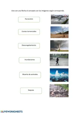 Consecuencias del calentamiento global