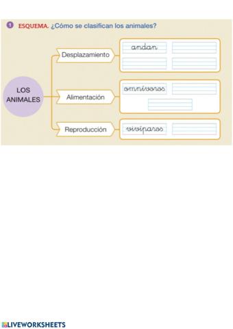 ANIMALES carnívoros, hervíboros y omnívoros