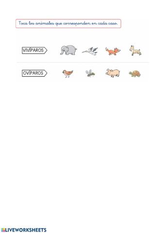 AniMALES vivíparos ovíparos