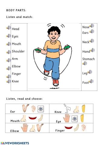 Body Parts