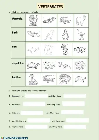 VERTEBRATES CLASSIFICATION