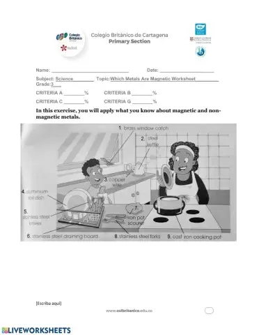 Which Metals are Magnetic?  Worksheet