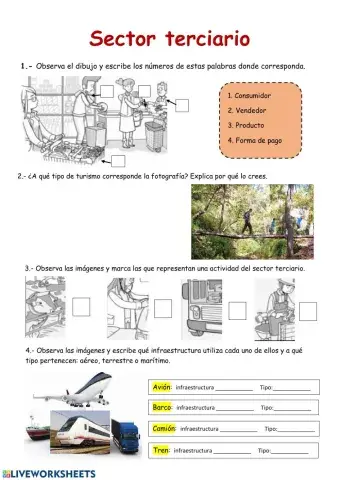 Ficha transportes, comercio y turismo 2
