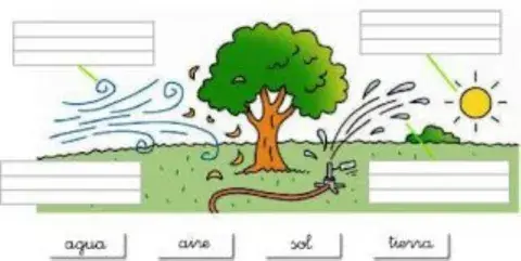 ¿Qué necesita una planta?