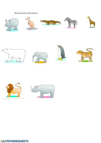 Animals 1