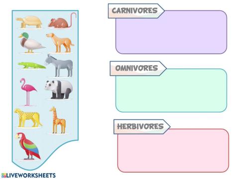 Carnivores, omnivores and herbivores animals