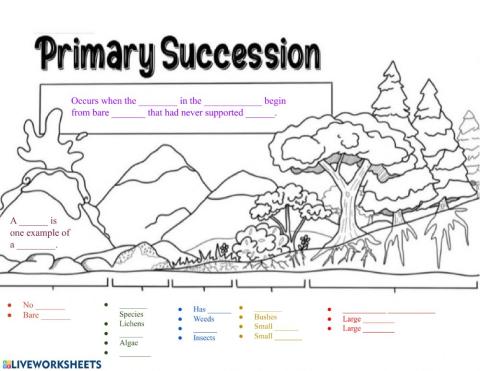 Primary Succession
