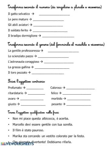 Gli aggettivi qualificativi 2