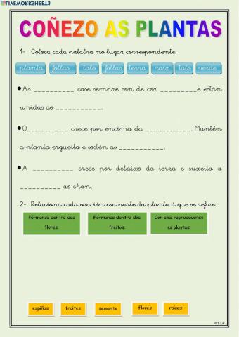 Coñezo as plantas