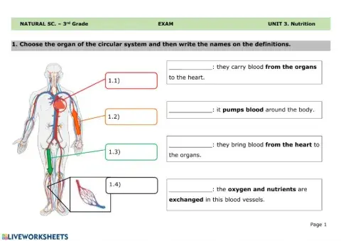 Nutrition test 02