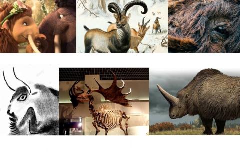 Prehistorical animals