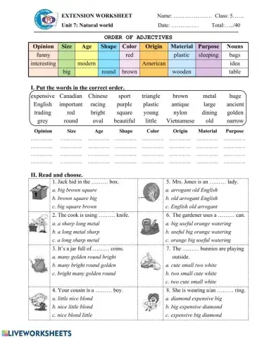 U7-NC3-OrderOfAdjectives
