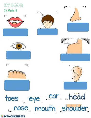 Head, shoulders, (knees) & toes