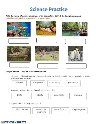 Components of an ecosystem