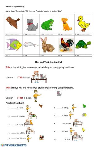 My Pets, This and That