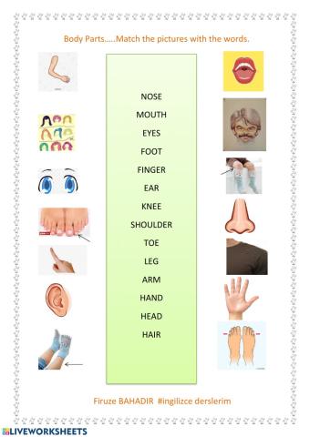Body parts