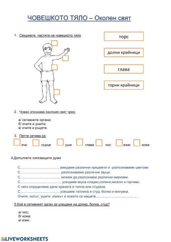 Човешко тяло