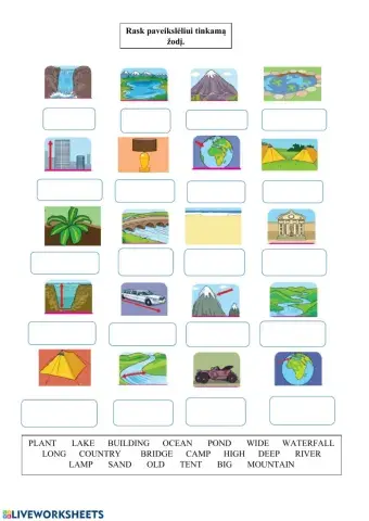 The fastest animal in the world