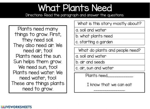 What Plants Need