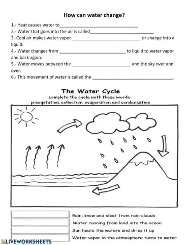 water cycle
