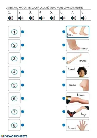 Listen and match - body parts