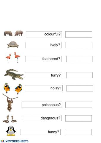 Short answers to be and describing animals